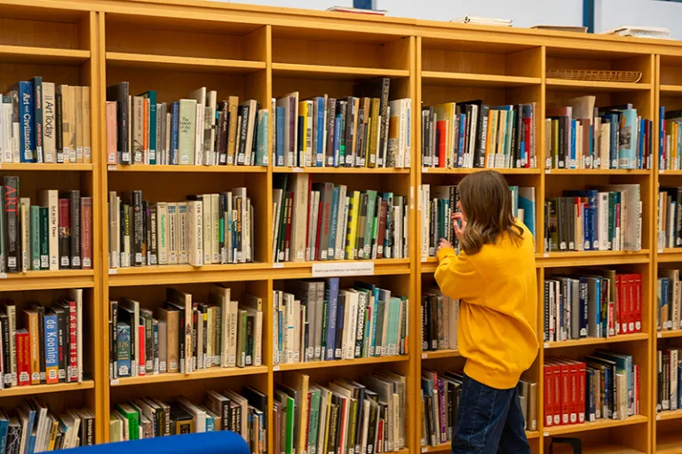 bookcase with student