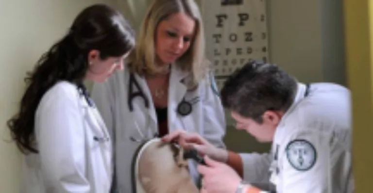 three physician assistant students examine dummy