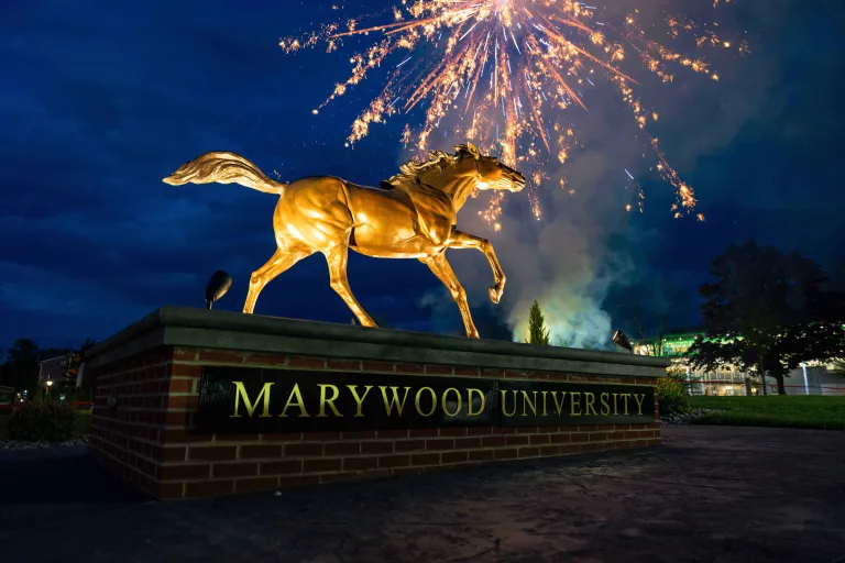 brass horse statue at night illuminated by fireworks