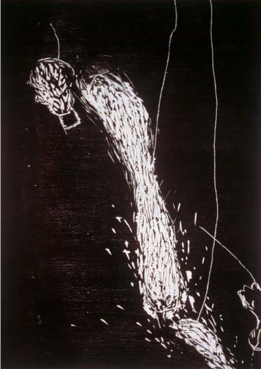 $exhibit.imageAltText